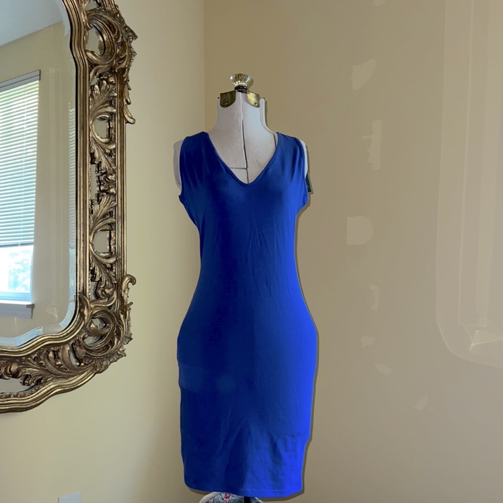 Royal Blue Wild Fable Dress